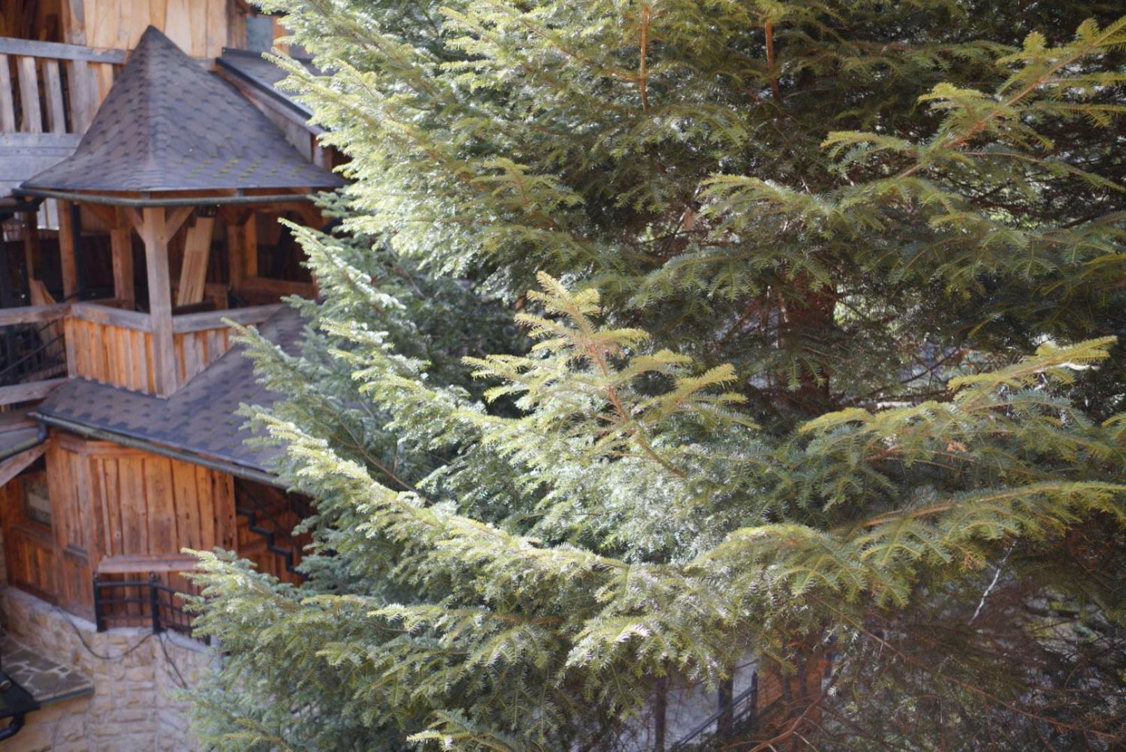 Садиба Nad Prutom ヤレムチャ エクステリア 写真
