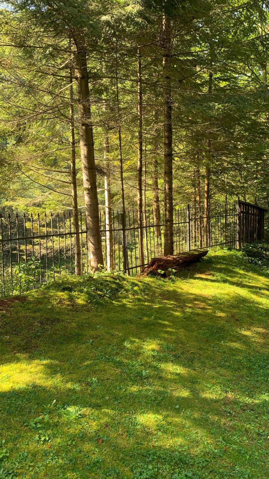 Садиба Nad Prutom ヤレムチャ エクステリア 写真